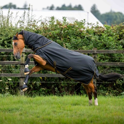 Alternative view of Bucas Irish Neck Halsteil Black/Gold