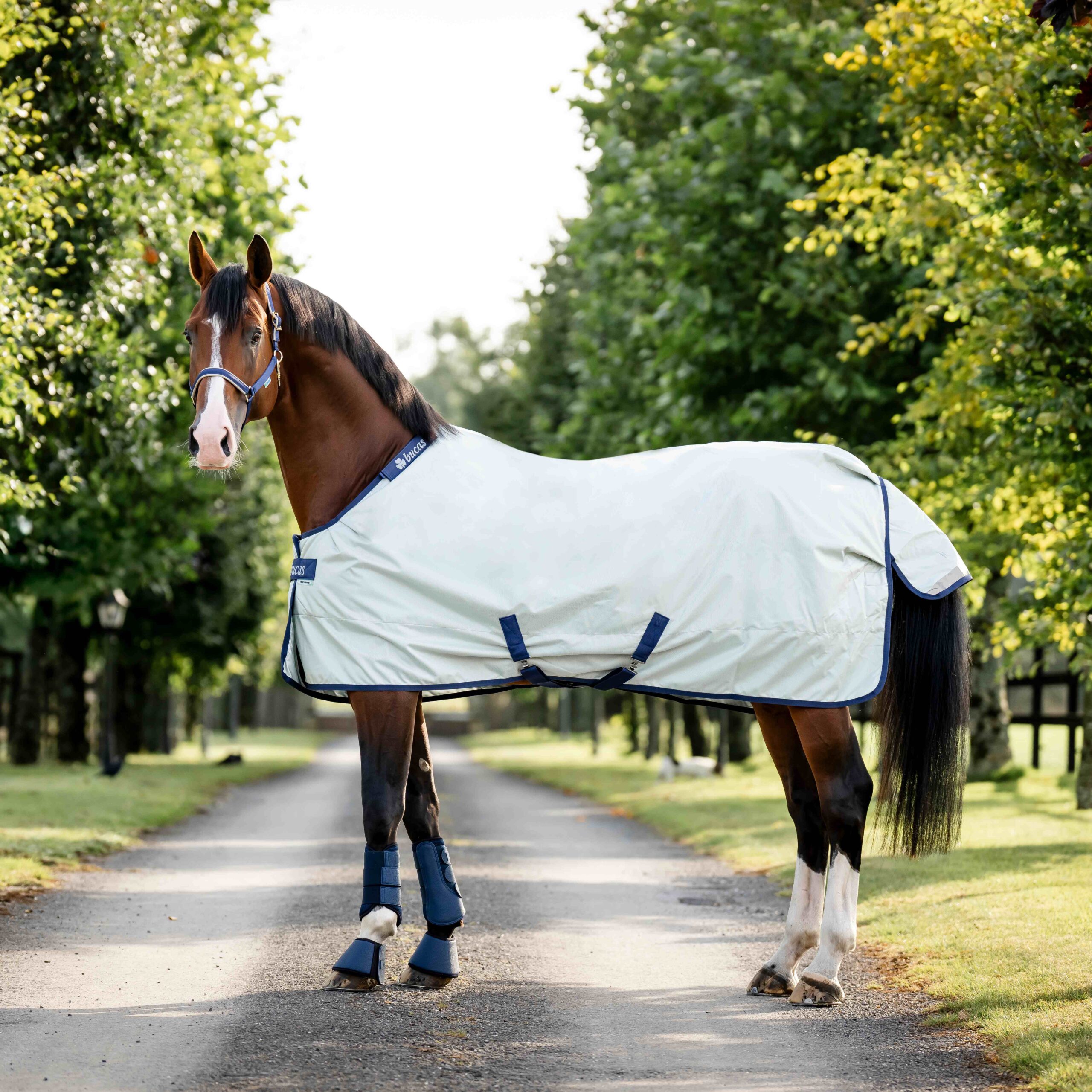 Bucas Power Turnout Medium 150g Silver – Bild 4