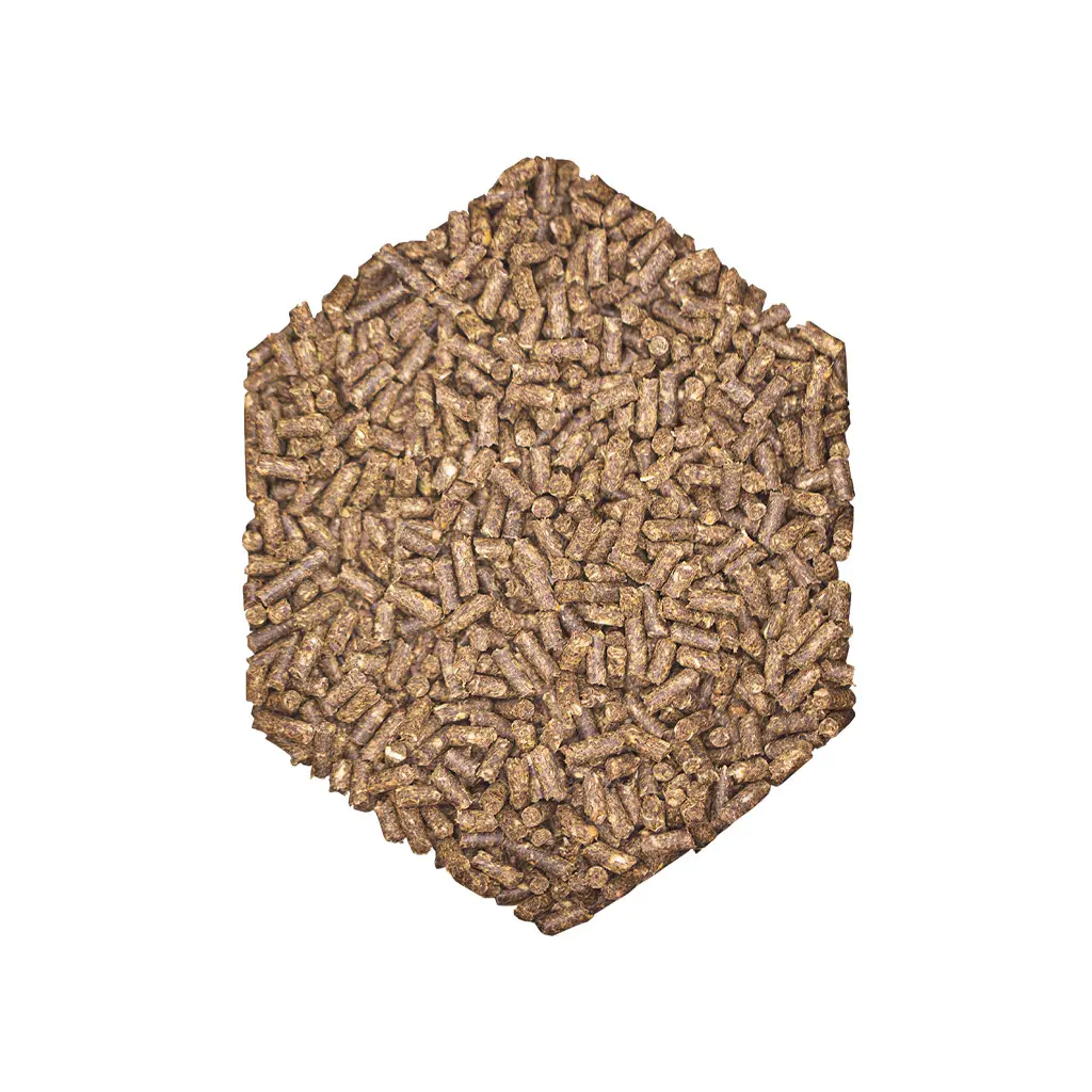 St. Hippolyt WES Basic Crunch – Bild 2